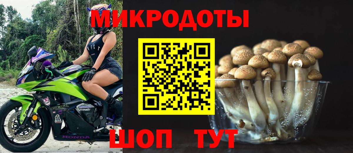 Галлюциногенные грибы Psilocybine cubensis  Псилоцибиновые грибы прущие грибы  Вход с VPN  Севастополь 